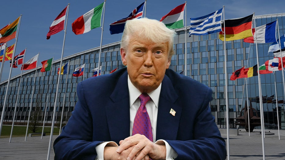 what-to-expect-in-the-upcoming-nato-summit:-trump,-spending,-ukraine,-iran