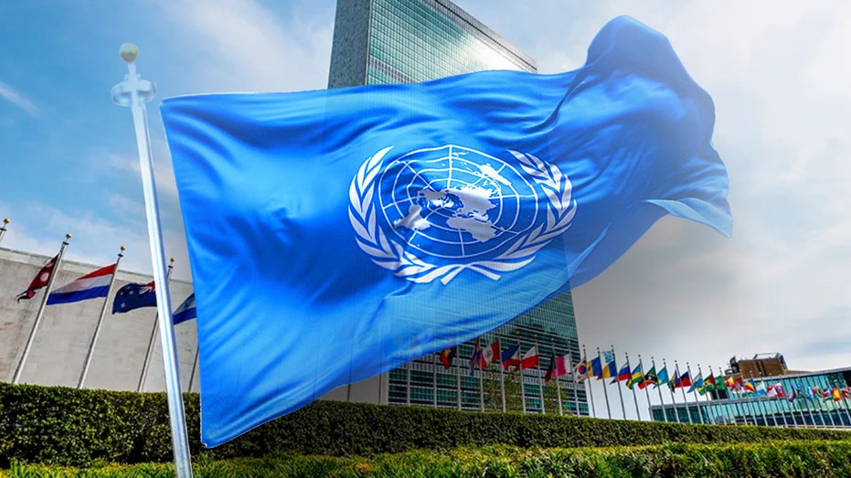 revealed:-the-extensive-perks-un-officials-receive-amid-budget-crisis