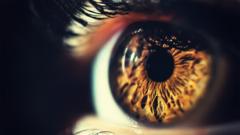 can-(and-should)-we-cure-blindness?