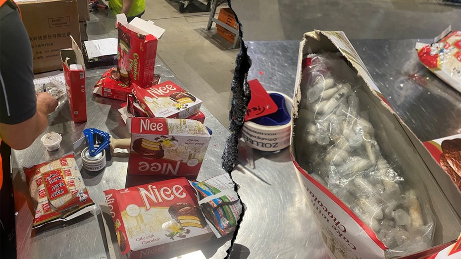 german-customs-officials-seize-1,500-tarantulas-smuggled-in-international-spongecake-shipment