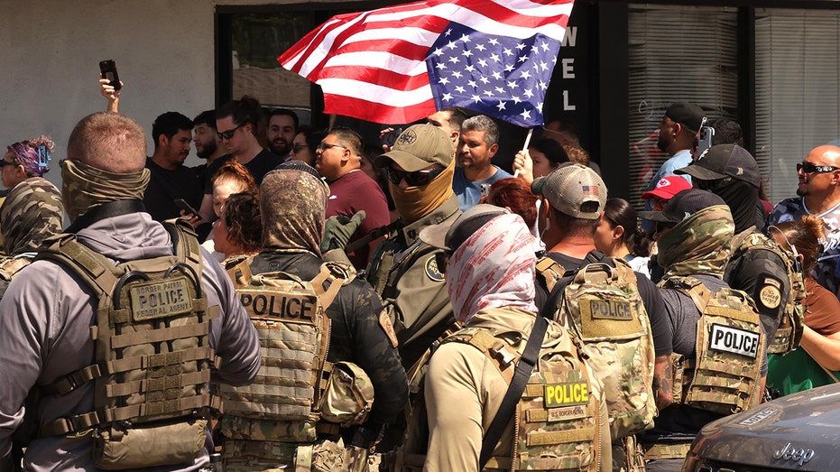 ice-director-blames-left-wing-‘rhetoric’-for-rise-in-attacks-on-immigration-officers