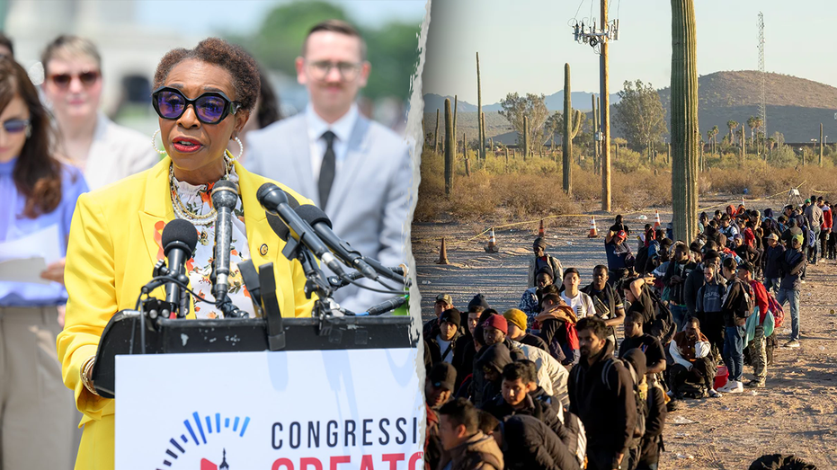 immigrants-needed-for-‘redistricting-purposes,’-house-dem-admits-in-viral-clip:-‘quiet-part-out-loud’