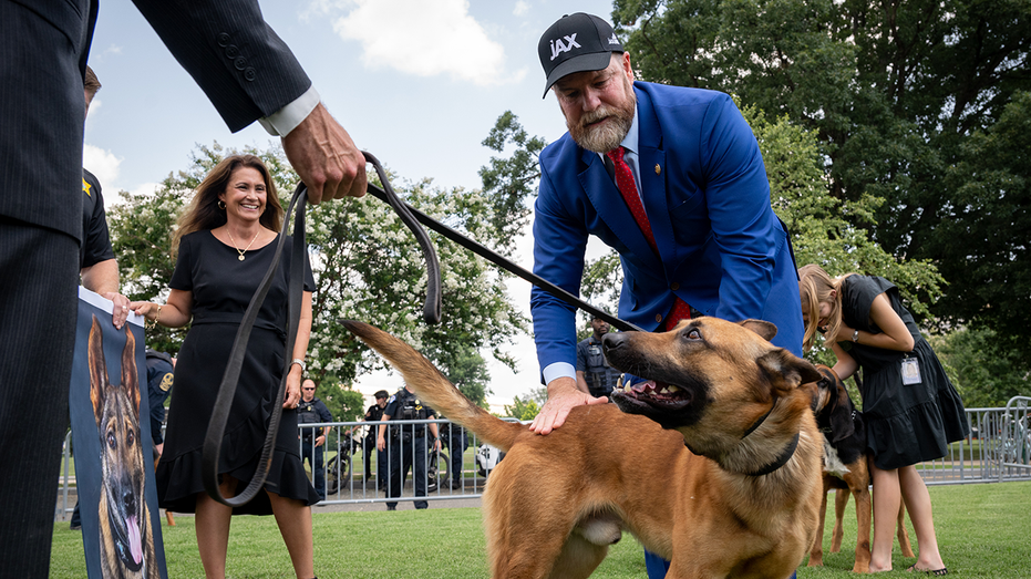 house-doge-leader-pushes-tougher-penalties-for-assaults-on-police-k9s,-horses-amid-anti-ice-violence