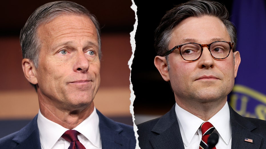 house-republicans-push-for-quick-vote-on-senate-approved-bill-despite-internal-resistance