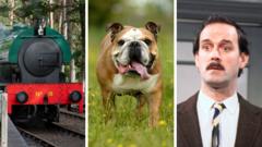British Bulldogs to Basil Fawlty – your banknote redesign ideas
