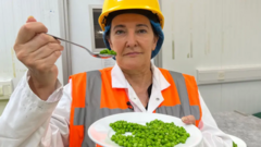 taster-finds-32-plates-of-peas-a-day-appealing