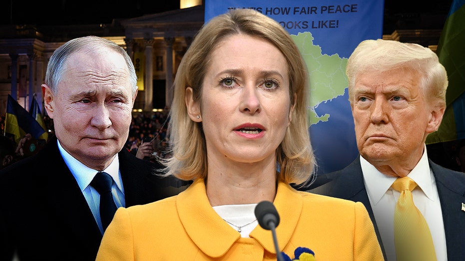 eu-hits-back-at-trump,-zelenskyy-comments,-no-concessions-in-ukraine-before-putin-ceasefire-agreement