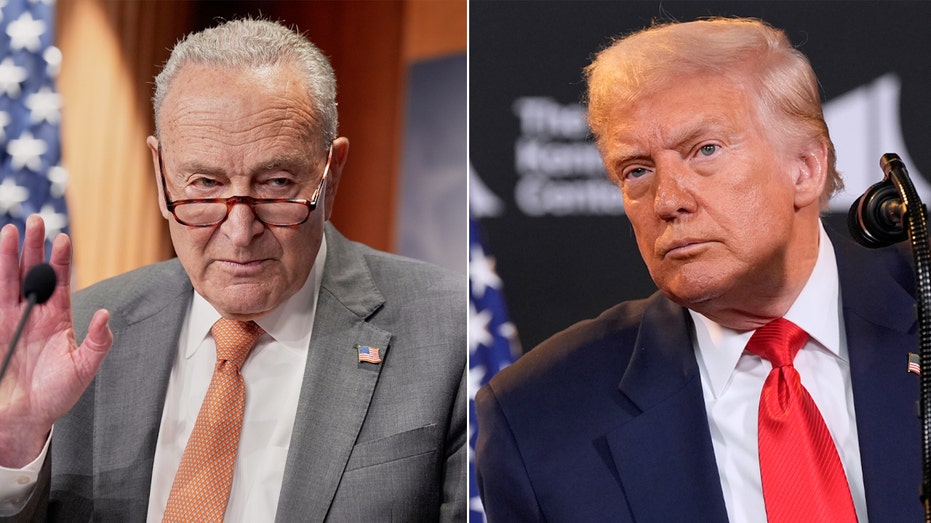 schumer-gives-profanity-laced-response-to-whether-dems-will-help-extend-dc-police-takeover