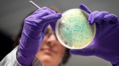 ai-designs-antibiotics-for-gonorrhoea-and-mrsa-superbugs