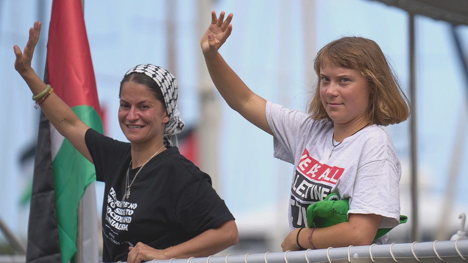 greta-thunberg-flotilla-won’t-be-unloading-anything-on-gaza’s-beaches,-warns-expert