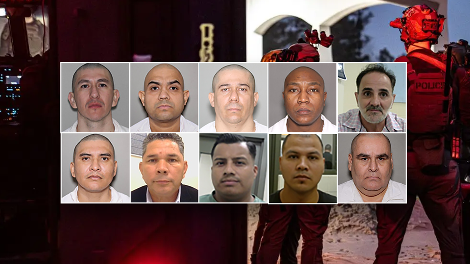 massive-ice-operation-nets-gang-members,-murderers,-child-predators:-‘wreaked-havoc’