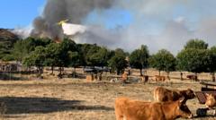 spain-counts-the-cost-of-‘nightmare’-wildfire-summer