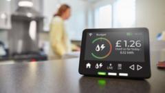 households-to-be-offered-energy-bill-changes,-but-unlikely-to-lead-to-savings