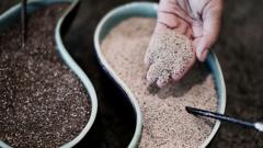 Are chia seeds and other fibre ‘hacks’ good for you?
