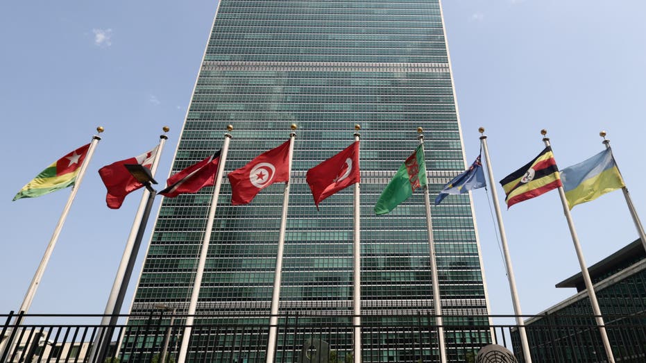 trump-administration-official-physically-assaulted-at-unga-by-‘deranged-leftist,’-white-house-says