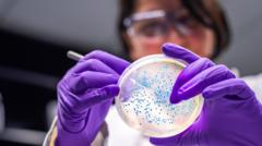 the-bacteria-turning-waste-plastic-into-painkillers