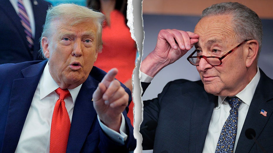 trump-slams-democrats-for-‘shutting-down’-government,-demands-it-reopen-‘tonight’