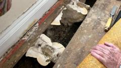 tens-of-thousands-of-homes-insulated-under-government-schemes-need-repairs