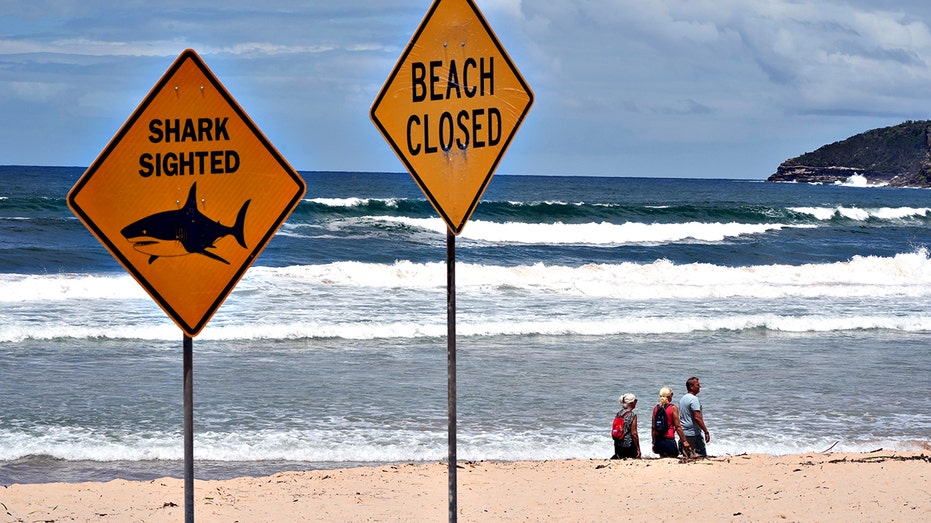 fourth-shark-attack-in-three-days-rocks-australia-as-authorities-close-beaches-and-deploy-drumlines