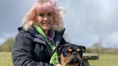 rising-vet-costs-leave-charity-with-400k-bill