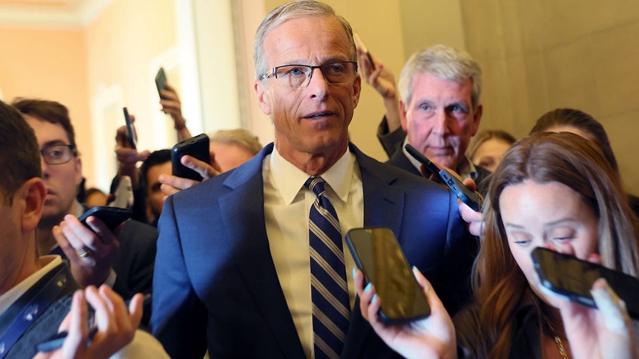 thune-guarantees-voter-id-bill-to-hit-the-senate-despite-schumer,-dem-opposition:-‘we-will-have-a-vote’