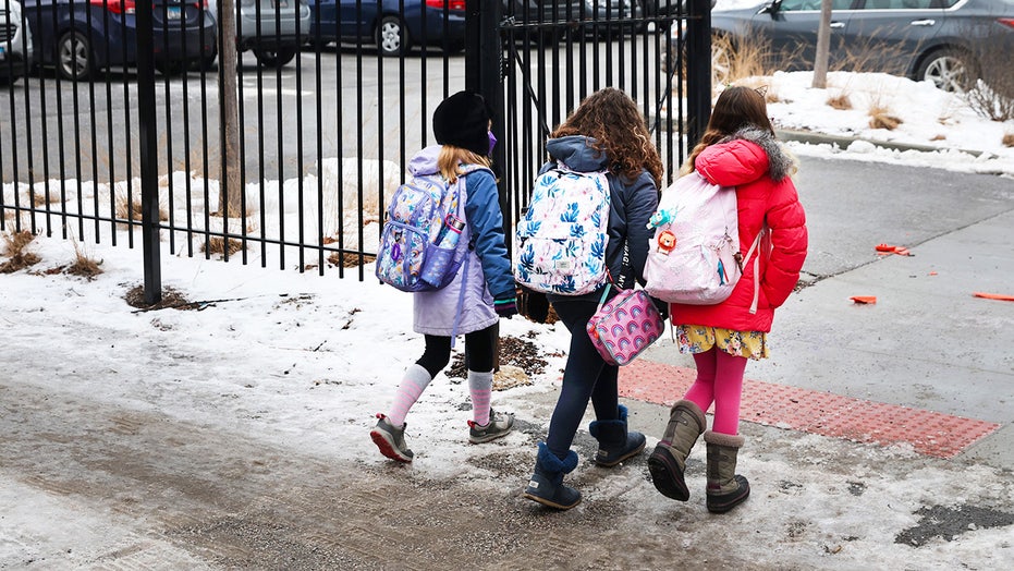 campus-radicals-newsletter:-teacher-who-lost-job-over-2-word-post-breaks-silence,-chicago-‘racial-segregation’