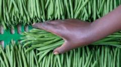 the-two-farms-in-senegal-that-supply-many-of-the-uk’s-vegetables