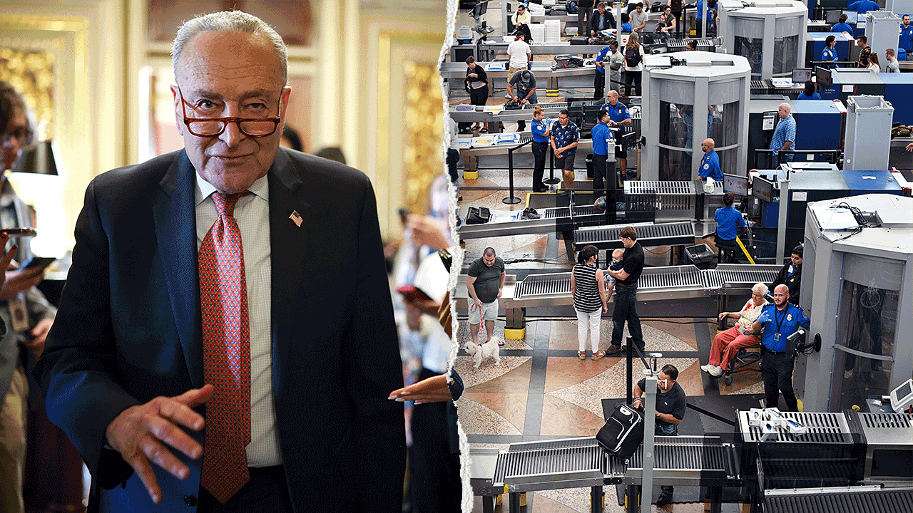 democrats-demanding-ice-reforms-lose-airport-escorts-in-shutdown-they-triggered