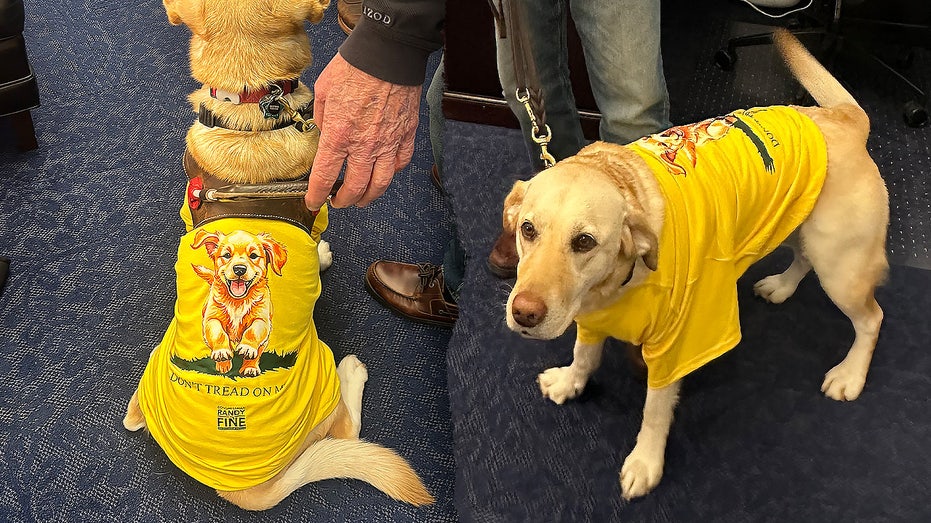 rep-randy-fine-to-bring-4-legged-guest-sadie-to-trump’s-state-of-the-union-amid-backlash-over-x-post