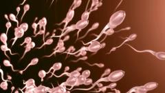 sperm-swim-more-quickly-in-summer,-study-finds