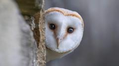 wildlife-to-replace-historical-characters-on-banknotes