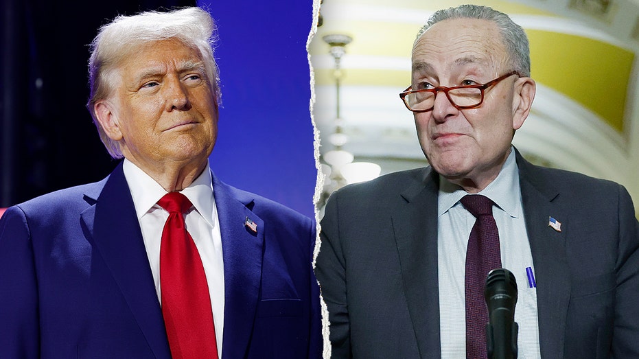 schumer,-dems-block-dhs-funding-again-as-trump-intervenes-to-pay-tsa-agents
