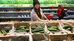 shoppers-feel-crunch-as-price-of-produce-climbs